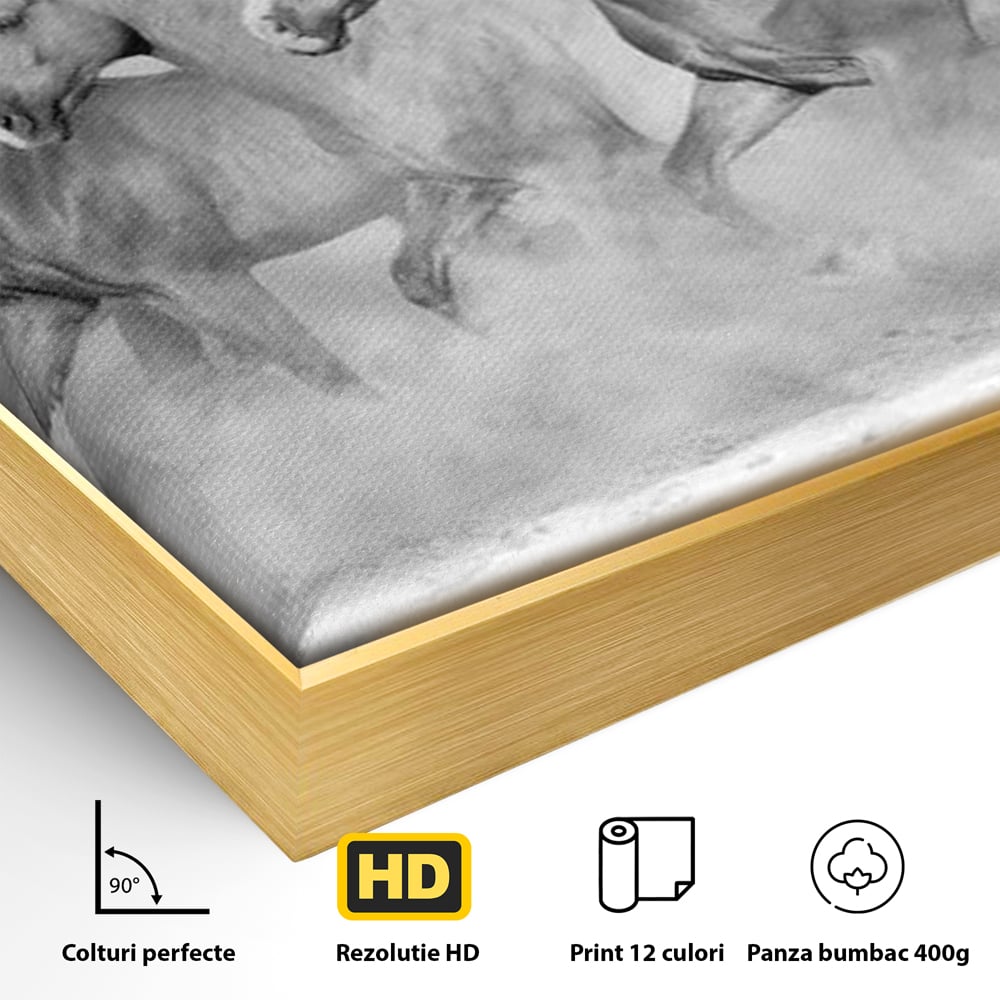 Detaliu al suprafetei: tablou canvas cu cai in galop, in rama de aluminiu auriu